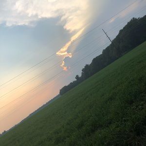 Meet your Posher, Ariana